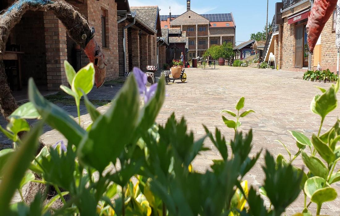 Courtyard of Didin Konak, accommodation Kopacki Rit, Slavonia & Baranja, Croatia